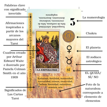Español Tarot Principiante | Cartas de Tarot con significado