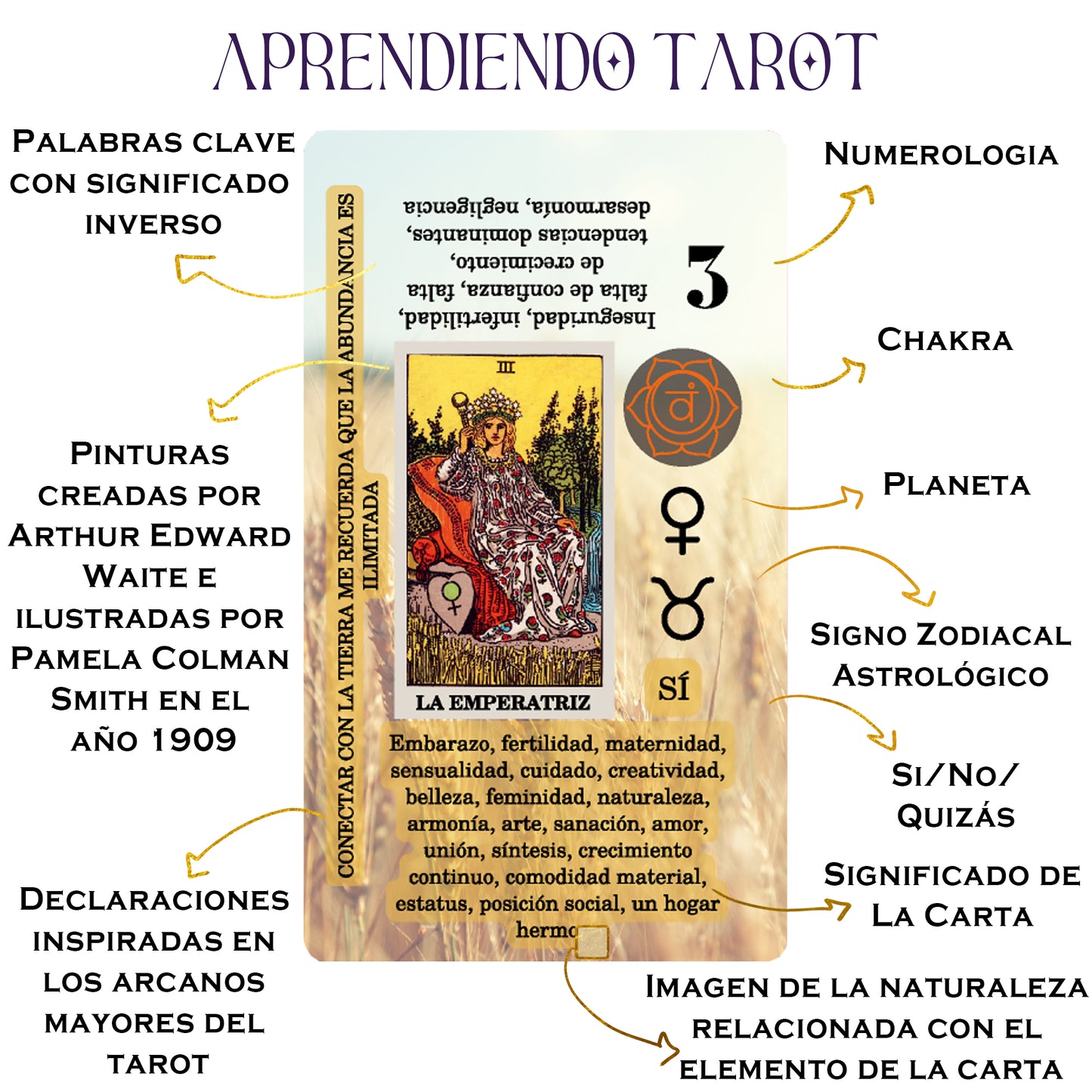 Español Tarot Principiante | Cartes du Tarot avec signification