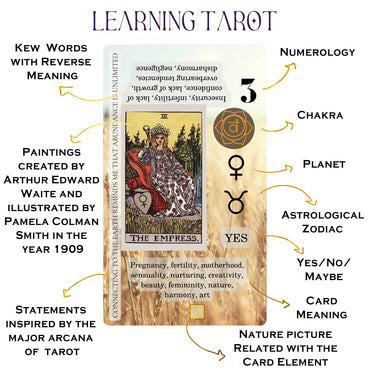 Beginner Tarot Cards with Meanings on Every Card - Back View